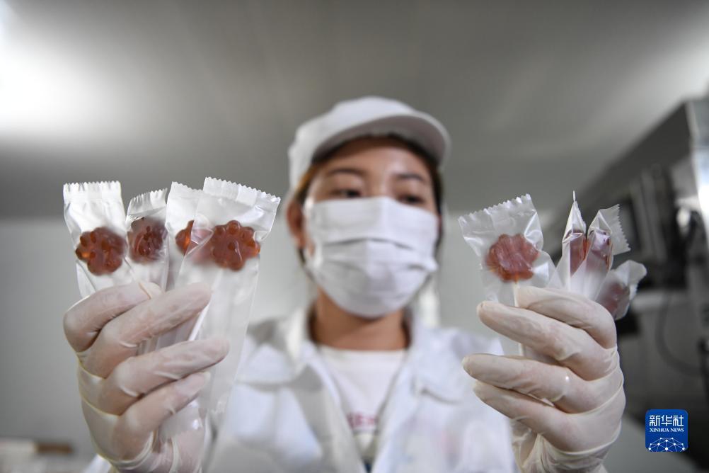大乐透大赢家软件破解